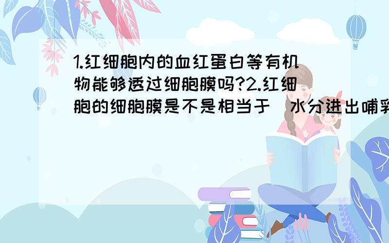 1.红细胞内的血红蛋白等有机物能够透过细胞膜吗?2.红细胞的细胞膜是不是相当于（水分进出哺乳动物红细胞