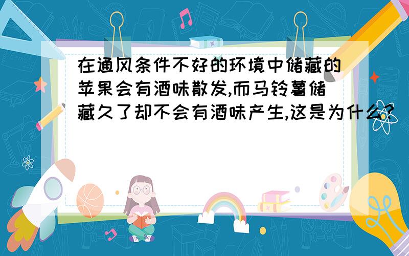 在通风条件不好的环境中储藏的苹果会有酒味散发,而马铃薯储藏久了却不会有酒味产生,这是为什么?