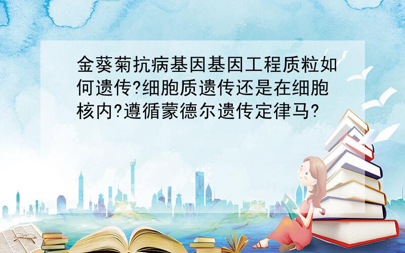 金葵菊抗病基因基因工程质粒如何遗传?细胞质遗传还是在细胞核内?遵循蒙德尔遗传定律马?