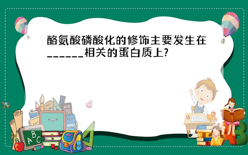 酪氨酸磷酸化的修饰主要发生在______相关的蛋白质上?