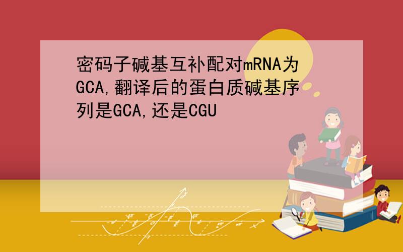 密码子碱基互补配对mRNA为GCA,翻译后的蛋白质碱基序列是GCA,还是CGU