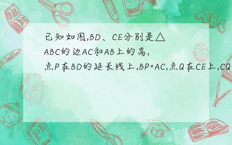 已知如图,BD、CE分别是△ABC的边AC和AB上的高,点P在BD的延长线上,BP=AC,点Q在CE上,CQ=AB,求证