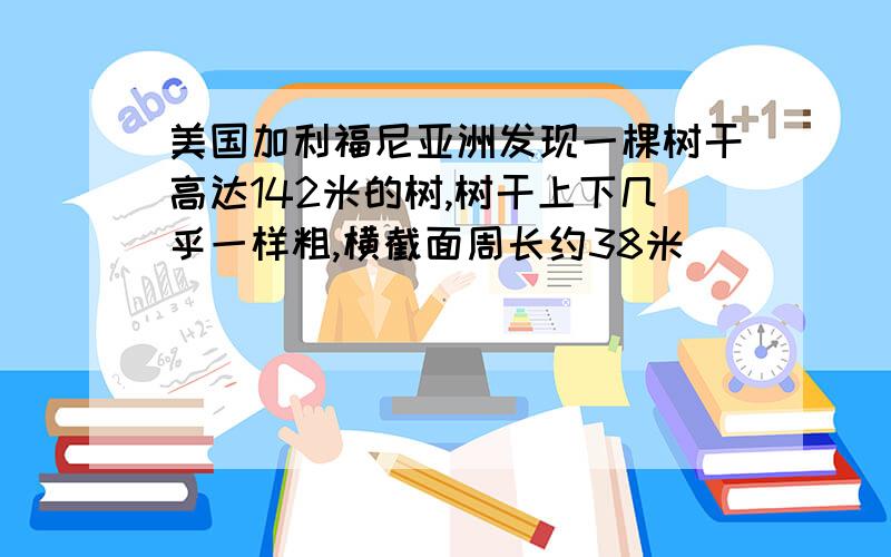 美国加利福尼亚洲发现一棵树干高达142米的树,树干上下几乎一样粗,横截面周长约38米