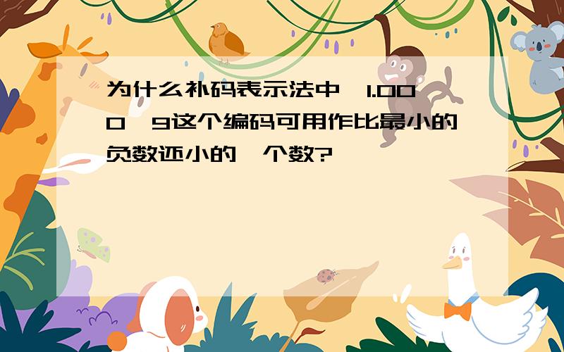 为什么补码表示法中,1.000…9这个编码可用作比最小的负数还小的一个数?