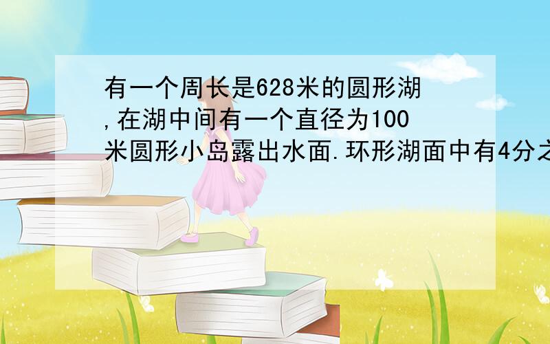 有一个周长是628米的圆形湖,在湖中间有一个直径为100米圆形小岛露出水面.环形湖面中有4分之3的面积种了