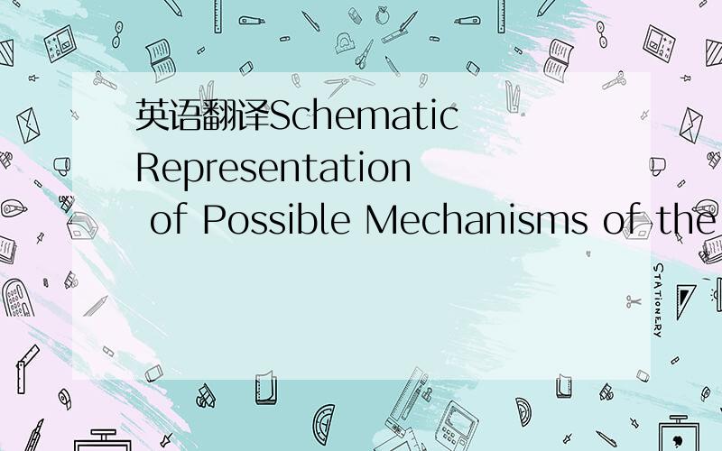 英语翻译Schematic Representation of Possible Mechanisms of the B