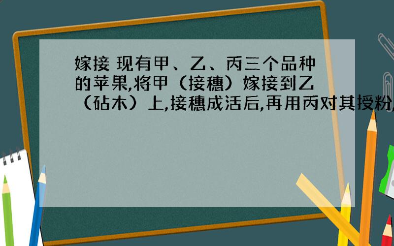 嫁接 现有甲、乙、丙三个品种的苹果,将甲（接穗）嫁接到乙（砧木）上,接穗成活后,再用丙对其授粉,得到的苹果可食部分的性状