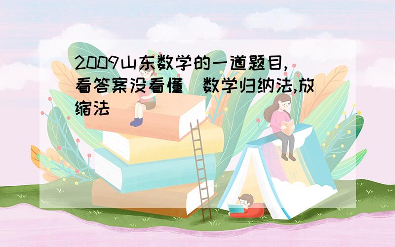 2009山东数学的一道题目,看答案没看懂（数学归纳法,放缩法）