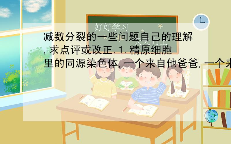 减数分裂的一些问题自己的理解,求点评或改正.1.精原细胞里的同源染色体,一个来自他爸爸,一个来自他妈妈?所以那两个染色体