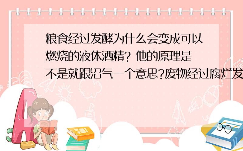 粮食经过发酵为什么会变成可以燃烧的液体酒精? 他的原理是不是就跟沼气一个意思?废物经过腐烂发酵就可以变成燃烧的气体?