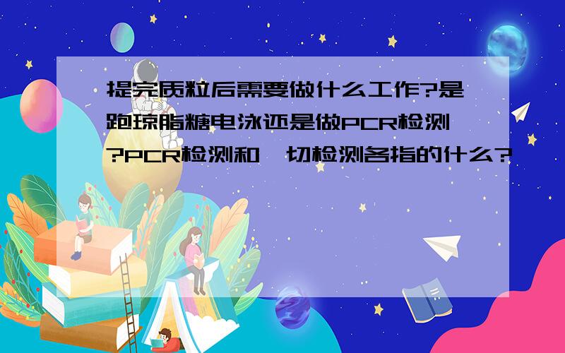 提完质粒后需要做什么工作?是跑琼脂糖电泳还是做PCR检测?PCR检测和酶切检测各指的什么?