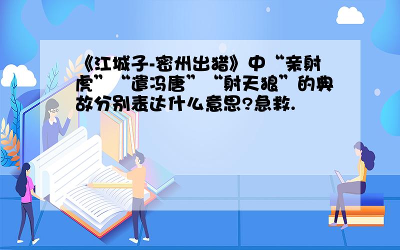 《江城子-密州出猎》中“亲射虎”“遣冯唐”“射天狼”的典故分别表达什么意思?急救.