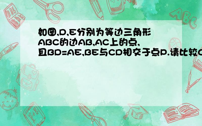 如图,D,E分别为等边三角形ABC的边AB,AC上的点,且BD=AE,BE与CD相交于点P.请比较CD与BE的大小