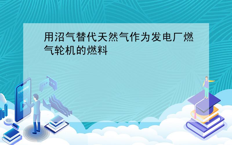 用沼气替代天然气作为发电厂燃气轮机的燃料