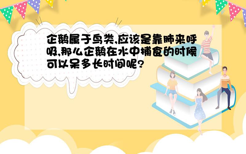 企鹅属于鸟类,应该是靠肺来呼吸,那么企鹅在水中捕食的时候可以呆多长时间呢?