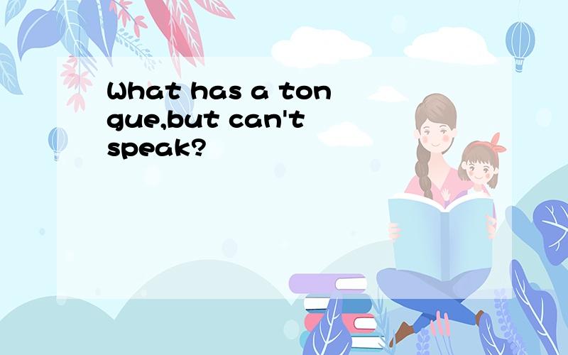 What has a tongue,but can't speak?