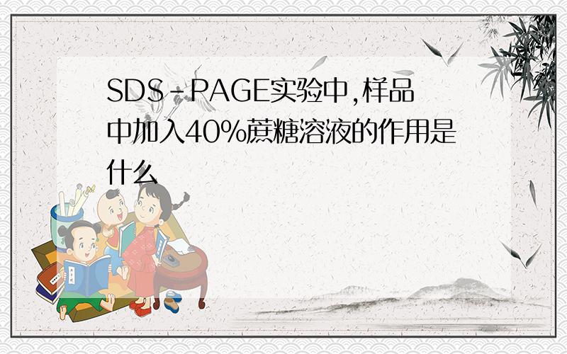 SDS-PAGE实验中,样品中加入40%蔗糖溶液的作用是什么