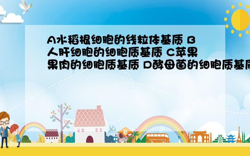 A水稻根细胞的线粒体基质 B人肝细胞的细胞质基质 C苹果果肉的细胞质基质 D酵母菌的细胞质基质