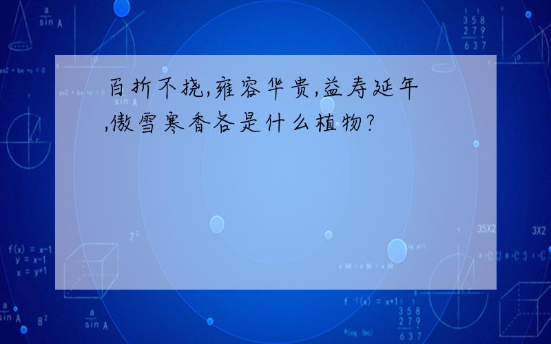 百折不挠,雍容华贵,益寿延年,傲雪寒香各是什么植物?