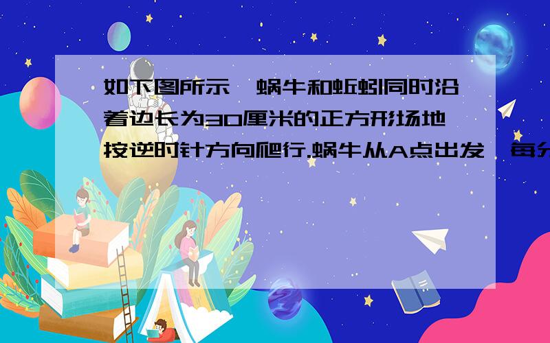 如下图所示,蜗牛和蚯蚓同时沿着边长为30厘米的正方形场地按逆时针方向爬行.蜗牛从A点出发,每分钟爬行8厘米.蚯蚓从B点出