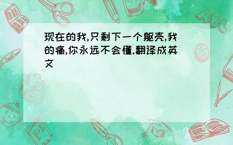 现在的我,只剩下一个躯壳,我的痛,你永远不会懂.翻译成英文