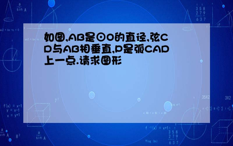 如图,AB是⊙O的直径,弦CD与AB相垂直,P是弧CAD上一点.请求图形