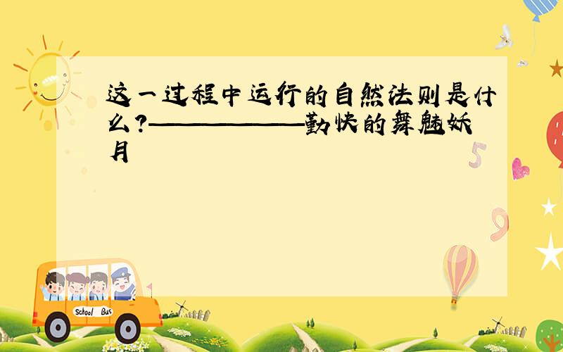 这一过程中运行的自然法则是什么?——————勤快的舞魅妖月