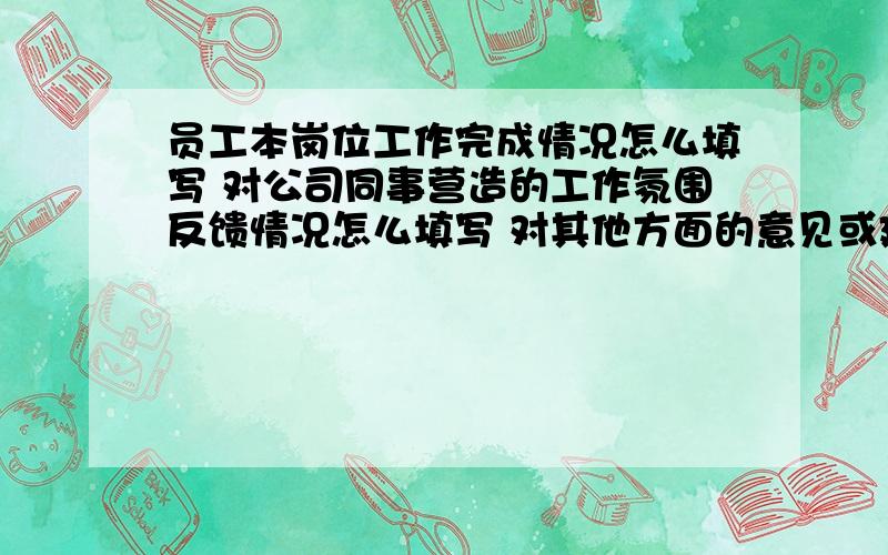 员工本岗位工作完成情况怎么填写 对公司同事营造的工作氛围反馈情况怎么填写 对其他方面的意见或建议