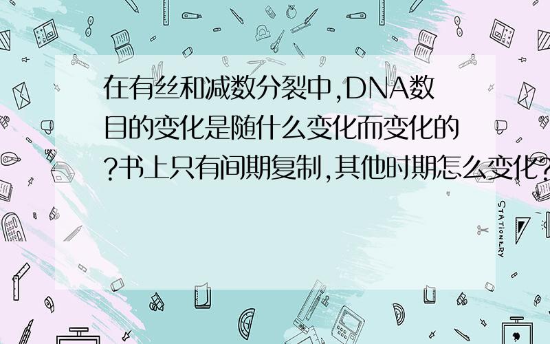 在有丝和减数分裂中,DNA数目的变化是随什么变化而变化的?书上只有间期复制,其他时期怎么变化?