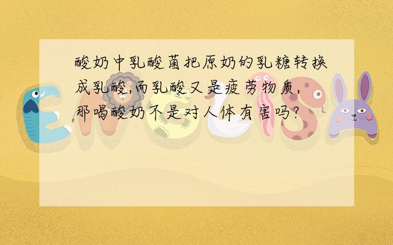 酸奶中乳酸菌把原奶的乳糖转换成乳酸,而乳酸又是疲劳物质,那喝酸奶不是对人体有害吗?