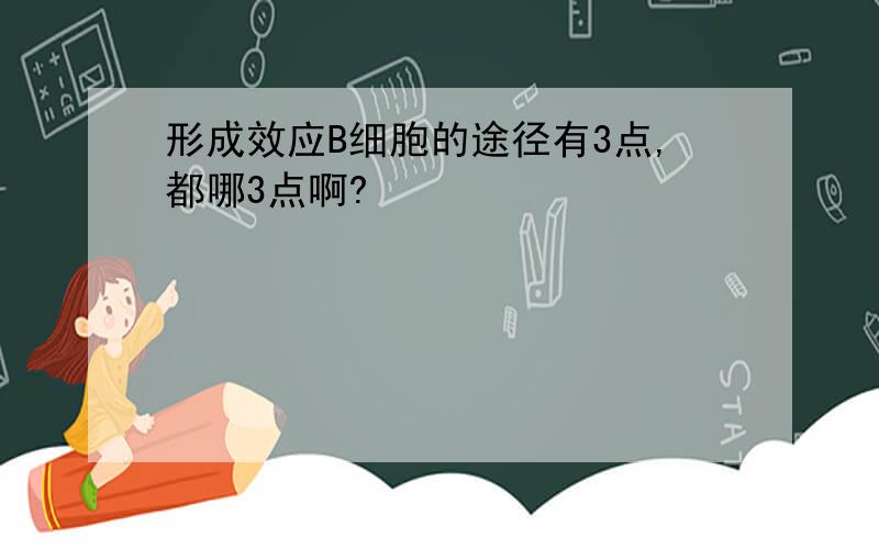 形成效应B细胞的途径有3点,都哪3点啊?