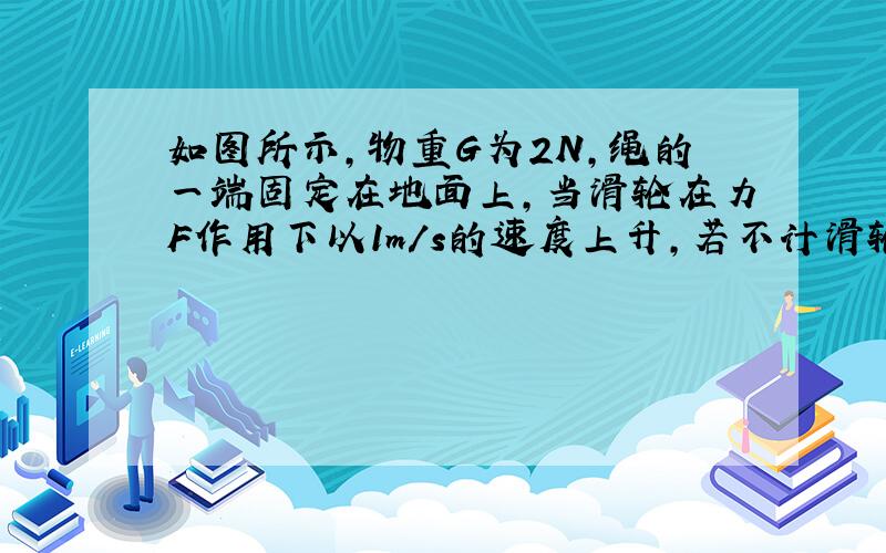 如图所示，物重G为2N，绳的一端固定在地面上，当滑轮在力F作用下以1m/s的速度上升，若不计滑轮重力和摩擦力，力F应等于