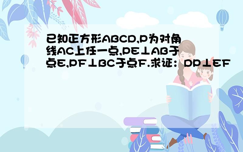 已知正方形ABCD,P为对角线AC上任一点,PE⊥AB于点E,PF⊥BC于点F.求证：DP⊥EF