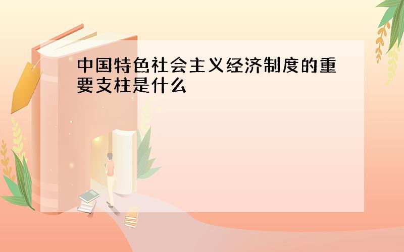 中国特色社会主义经济制度的重要支柱是什么