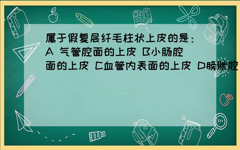 属于假复层纤毛柱状上皮的是：A 气管腔面的上皮 B小肠腔面的上皮 C血管内表面的上皮 D膀胱腔面的上皮