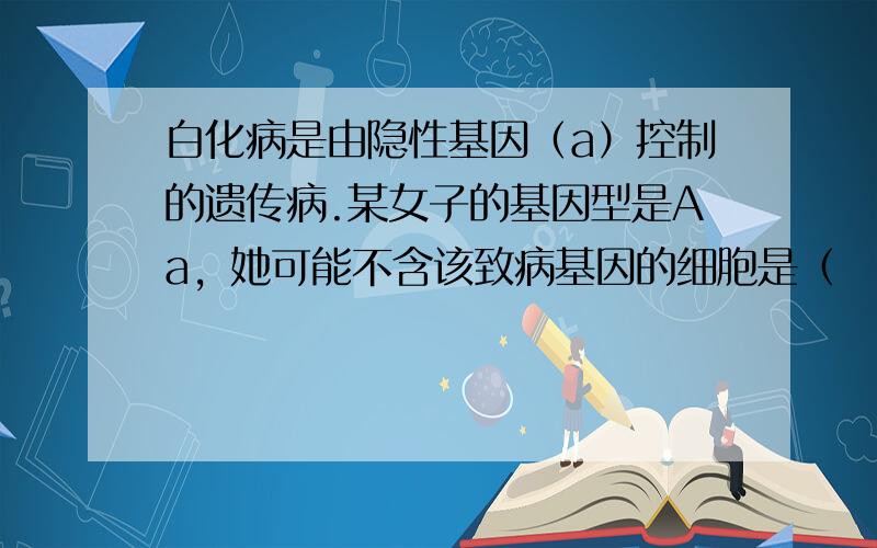 白化病是由隐性基因（a）控制的遗传病.某女子的基因型是Aa，她可能不含该致病基因的细胞是（　　）