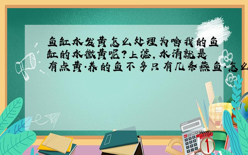 鱼缸水发黄怎么处理为啥我的鱼缸的水微黄呢?上滤,水清就是有点黄.养的鱼不多只有几条燕鱼.怎么能让水不黄呢?