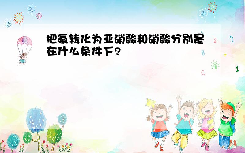 把氨转化为亚硝酸和硝酸分别是在什么条件下?