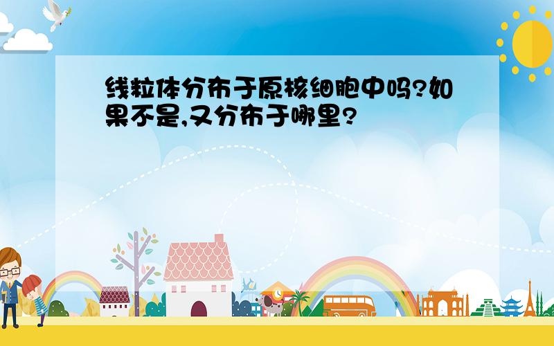 线粒体分布于原核细胞中吗?如果不是,又分布于哪里?