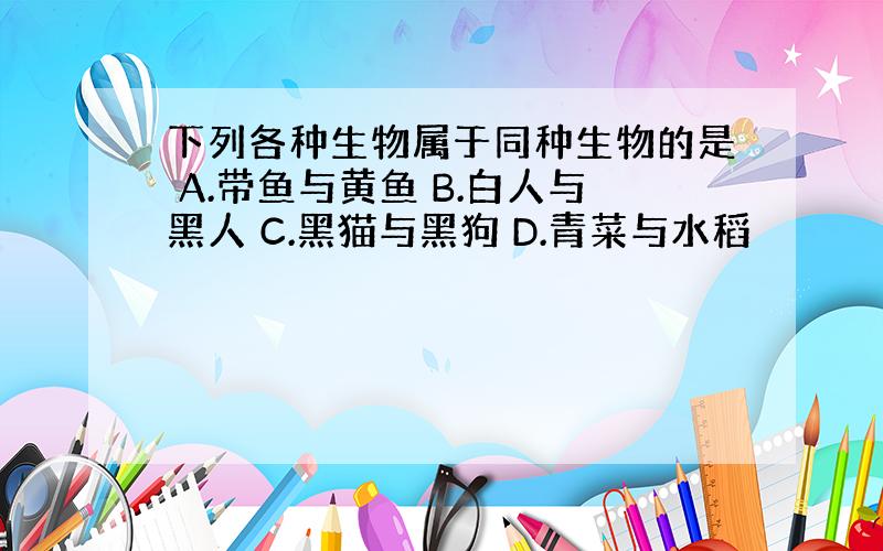 下列各种生物属于同种生物的是 A.带鱼与黄鱼 B.白人与黑人 C.黑猫与黑狗 D.青菜与水稻