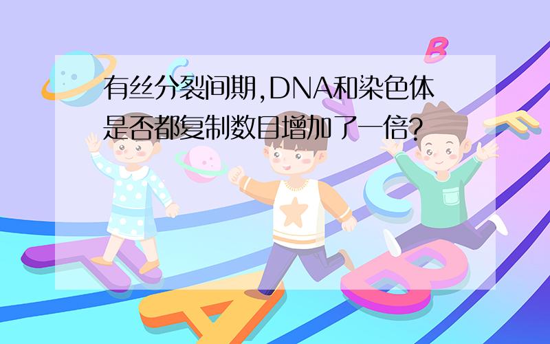 有丝分裂间期,DNA和染色体是否都复制数目增加了一倍?