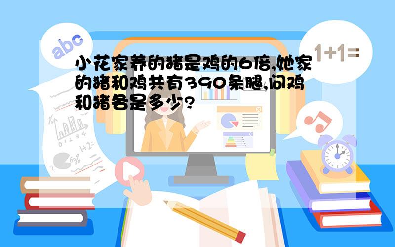 小花家养的猪是鸡的6倍,她家的猪和鸡共有390条腿,问鸡和猪各是多少?