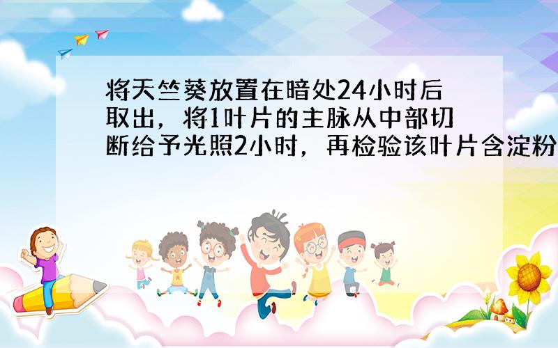 将天竺葵放置在暗处24小时后取出，将1叶片的主脉从中部切断给予光照2小时，再检验该叶片含淀粉情况，近叶柄部分比远叶柄部分