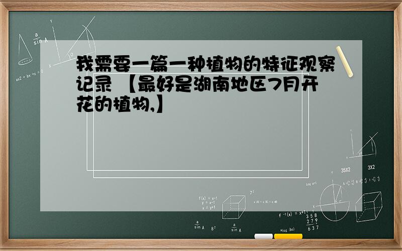 我需要一篇一种植物的特征观察记录 【最好是湖南地区7月开花的植物,】