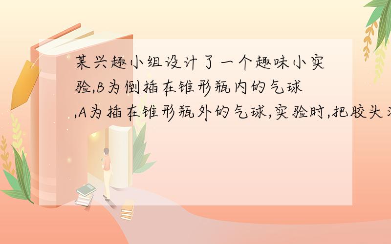 某兴趣小组设计了一个趣味小实验,B为倒插在锥形瓶内的气球,A为插在锥形瓶外的气球,实验时,把胶头滴管中的溶液(足量)加入