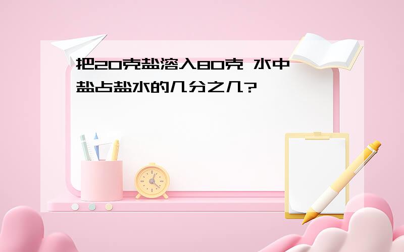 把20克盐溶入80克 水中,盐占盐水的几分之几?