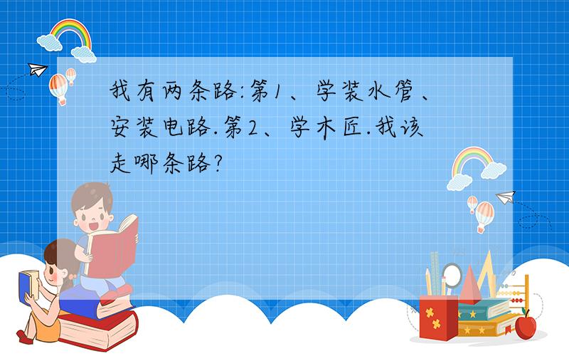 我有两条路:第1、学装水管、安装电路.第2、学木匠.我该走哪条路?