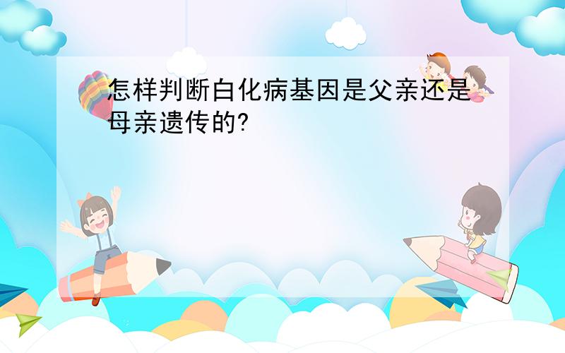 怎样判断白化病基因是父亲还是母亲遗传的?