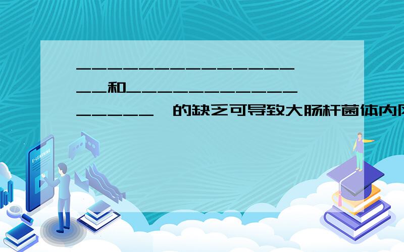 ________________和________________酶的缺乏可导致大肠杆菌体内冈崎片段的堆积.