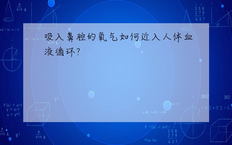 吸入鼻腔的氧气如何近入人体血液循环?